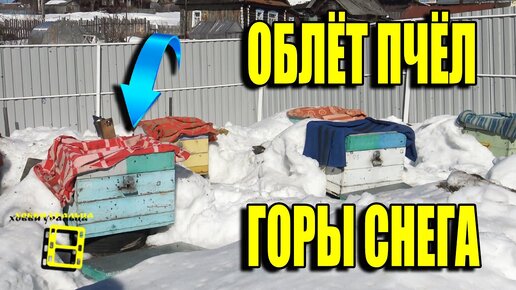 ОРГАНИЗАЦИЯ ПЕРВОГО ВЕСЕННЕГО ОБЛЕТА ПЧЕЛ. ВЕСЕННИЕ РАБОТЫ НА ПАСЕКЕ ДЛЯ НАЧИНАЮЩИХ ПЧЕЛОВОДОВ 1-21