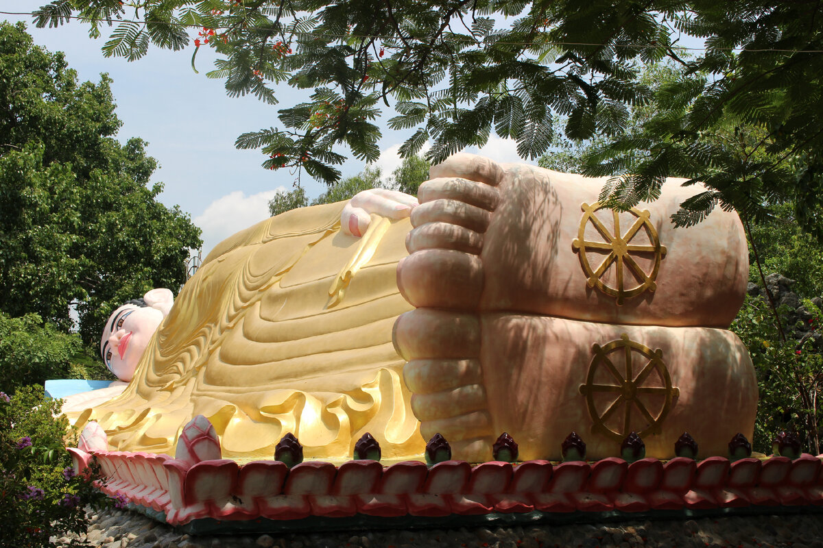 Мой Дзен прилег поспать (фото автора)