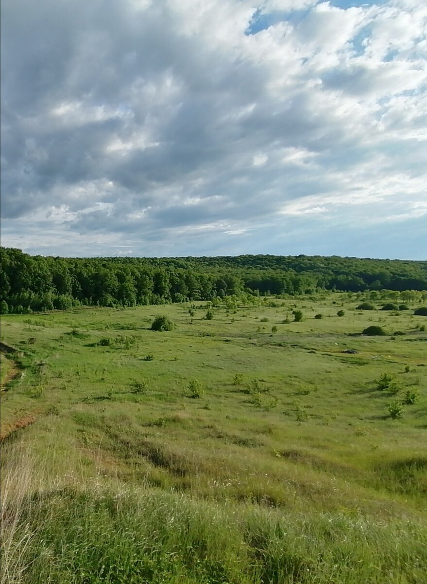 Фотография авторская