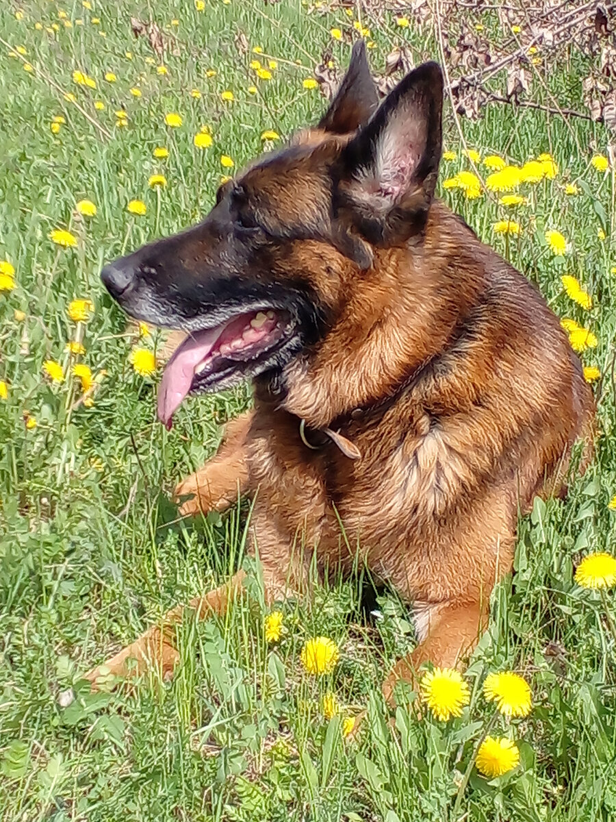 Эрих, май 2021. Фото автора. 