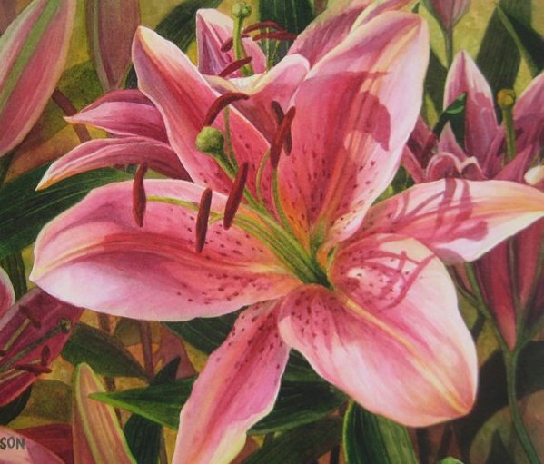 Лилия. Акварель. Художник Karen Sioson