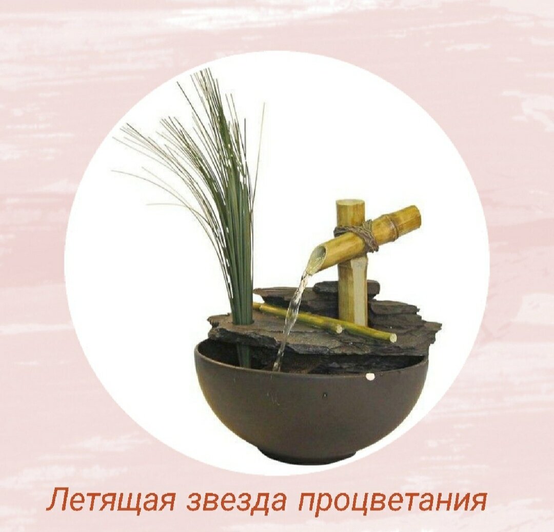 🍋Летящая Звезда Процветания💰
⠀
🌟Это Активация основана на использовании  Благоприятных летящих звезд  фен шуй
Как Активировать ?
⠀
⛲Ставим фонтан на  ЮГЕ
Для получения денег
Для новых начинаний
Для продвижения на работе
‼️Важно !!
⏰Делаем это только в указанное время на два часа
⠀
09.07. 2021 час Дракона 07-09 нельзя Крысам
⠀