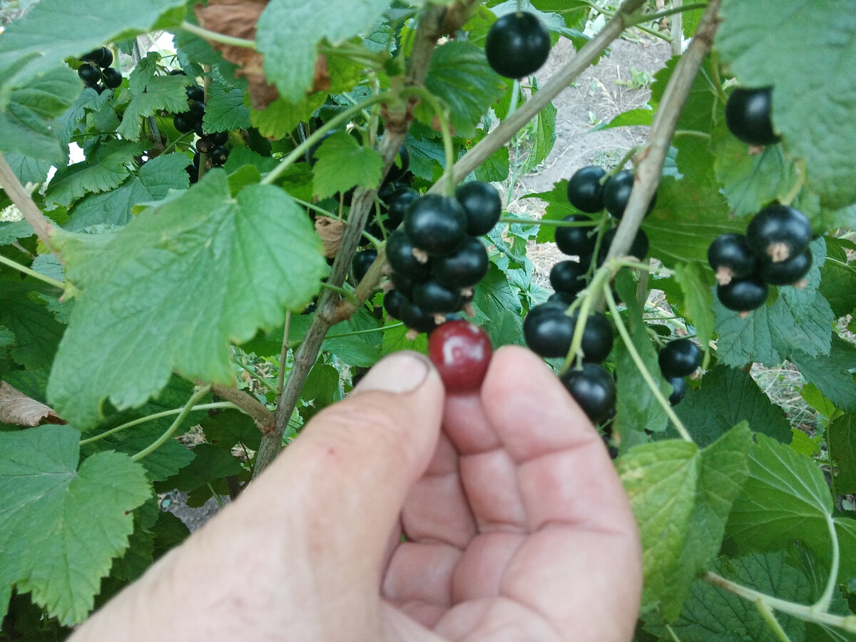 9 июля 2021 года