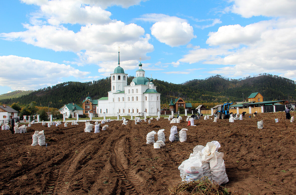 Уборка урожая в Сретенском монастыре. Фото из архива монастыря