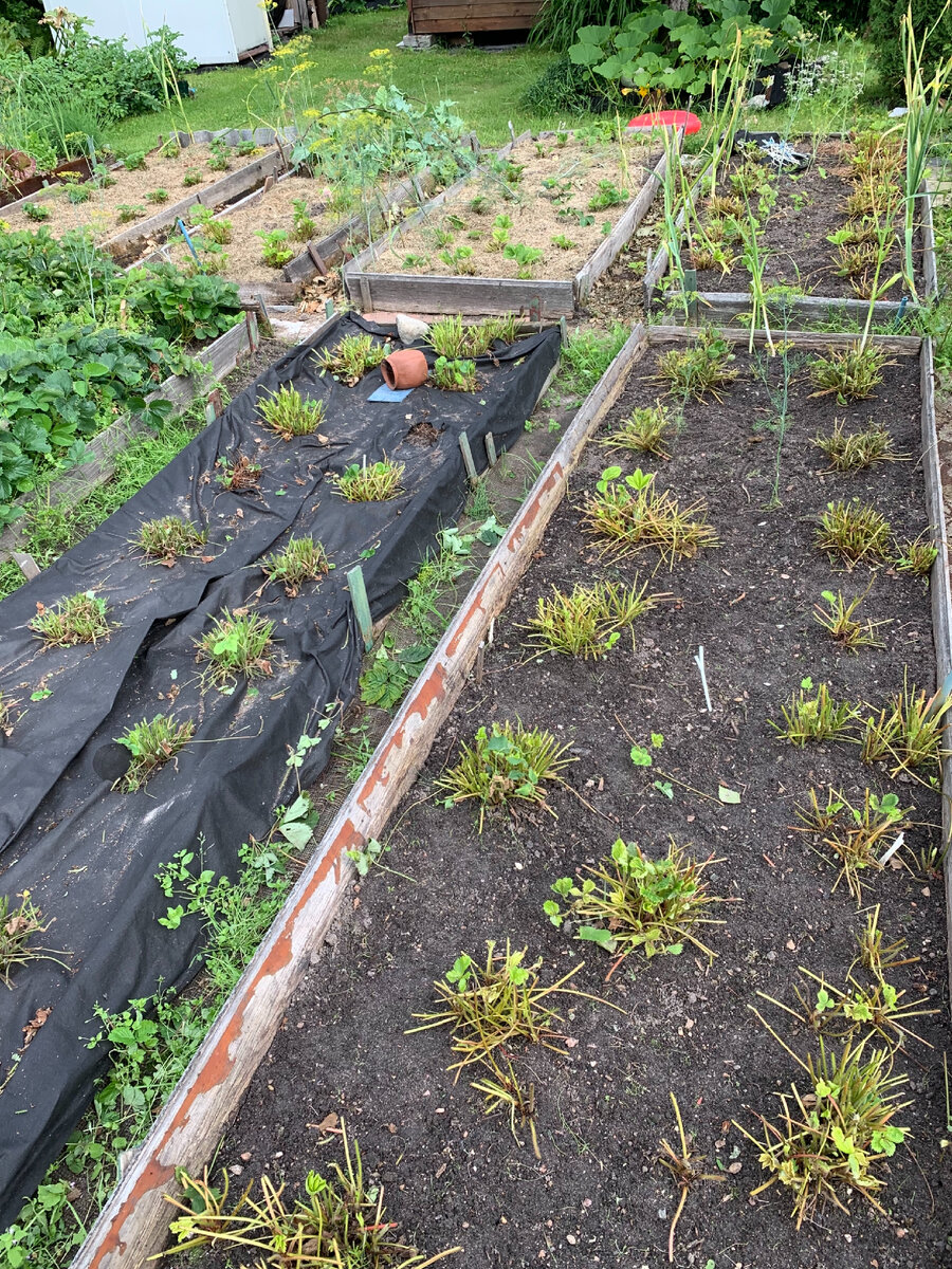 Я обработала ту, что самая первая, следующую за ней и ту, что слева от первой, с чёрным настилом. 