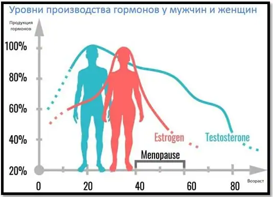 Уровни производства гормонов.