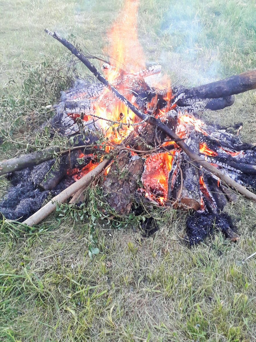 Не стоит сжигать натуральные материалы, ими можно замульчировать ваш сад.