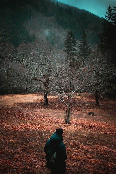 фото взято из открытых источников