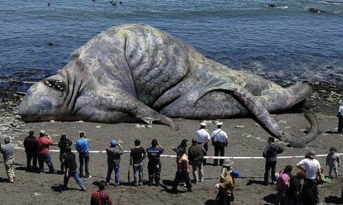 Покажи где очень. Топ-100 самых огромных монстров в море. Какие есть морские чудовище в Бермудском треугольнике. Топ кит и динозавр. Живой или вымерший animal Planet.