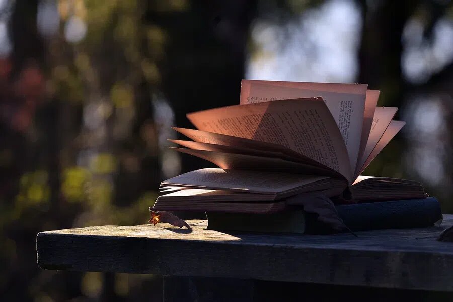 Фото: pixabay.com