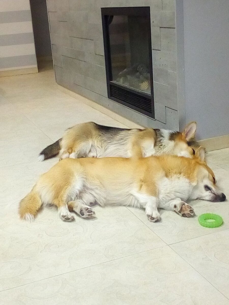 На сон грядущий, фото из личного архива