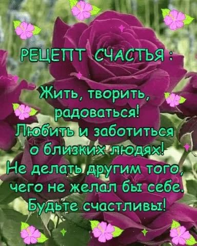 фото из Яндекс картинки 