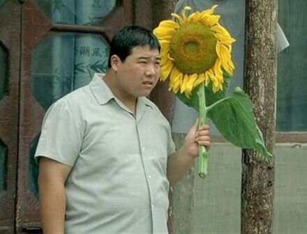 фото из интернета