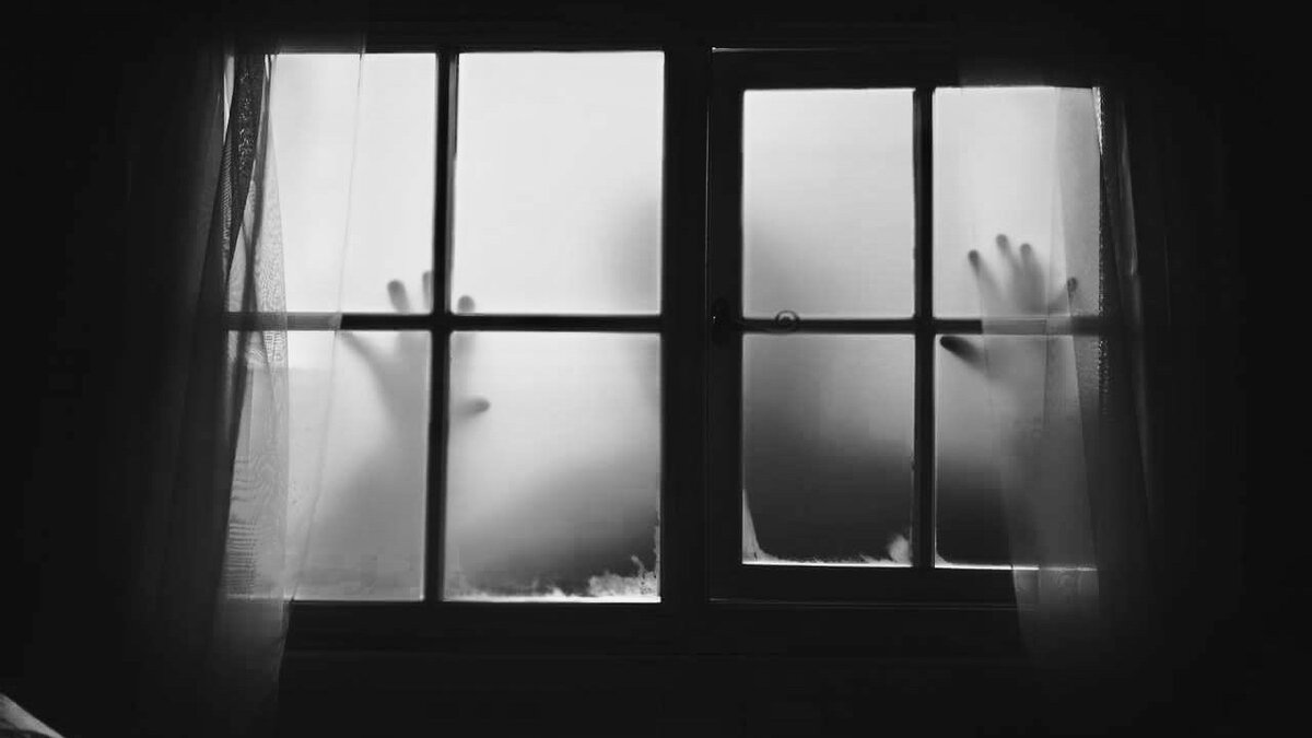 Источник Яндекс Картинки