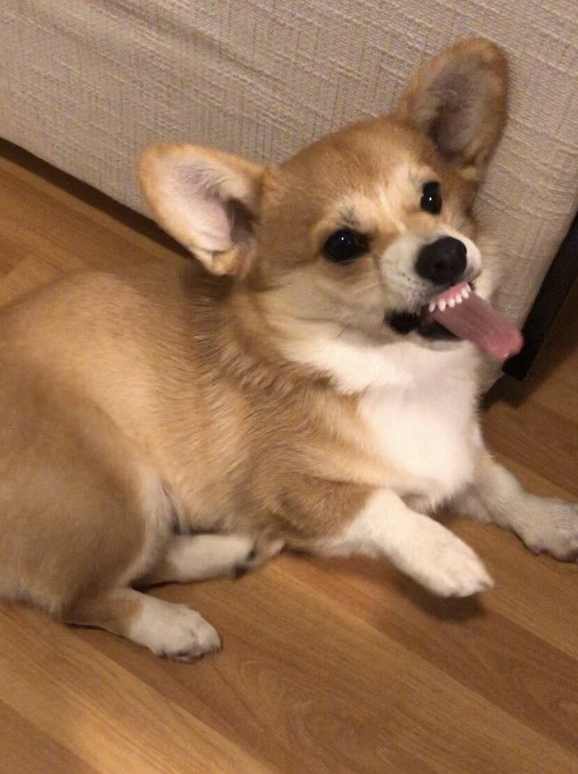 Злой «Веном».