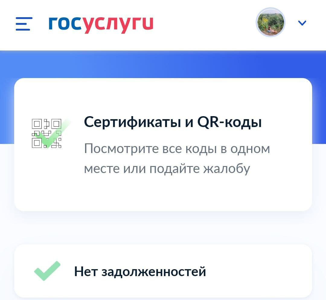 В Госуслугах всё чисто