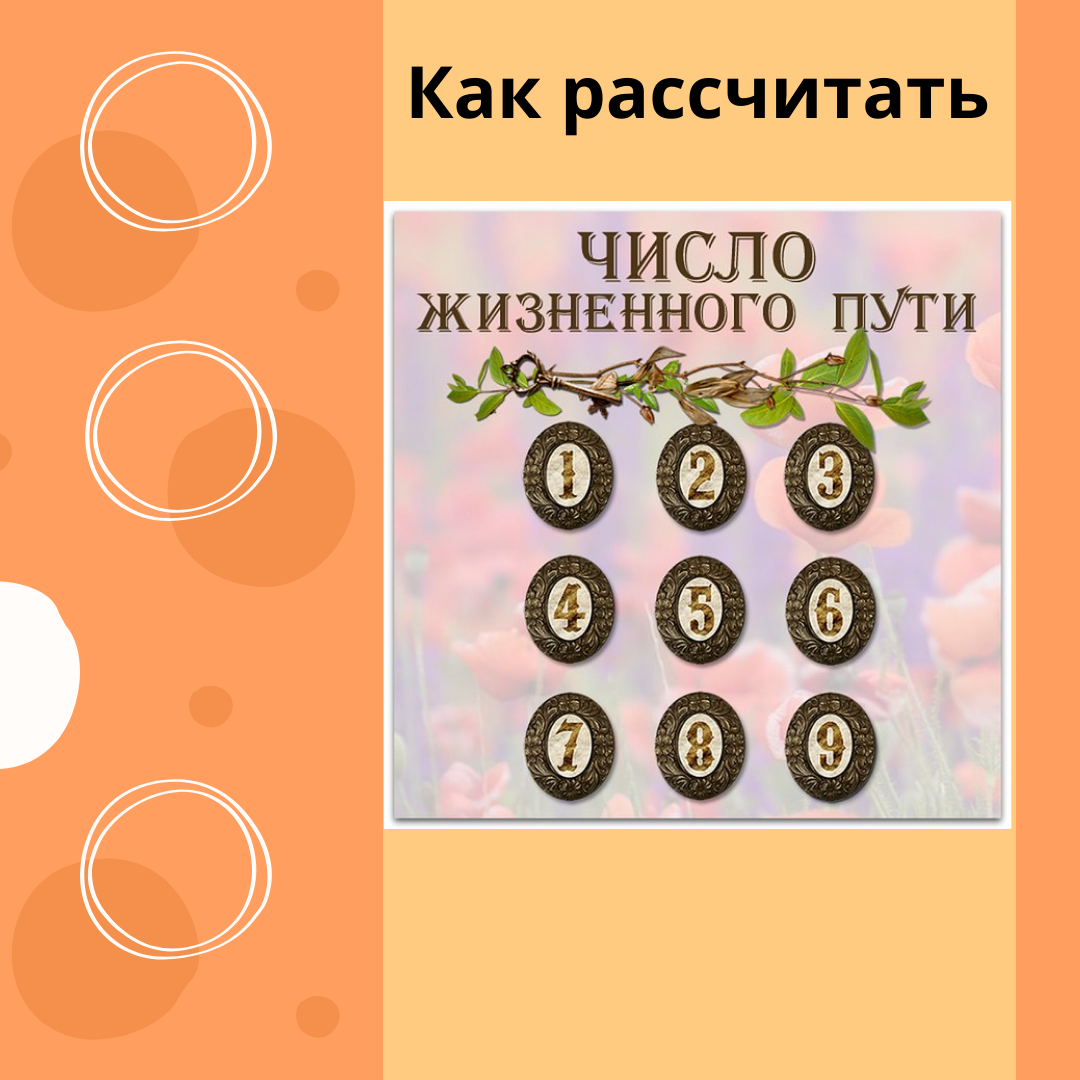 Число жизненного пути 3. Число жизненного пути 3