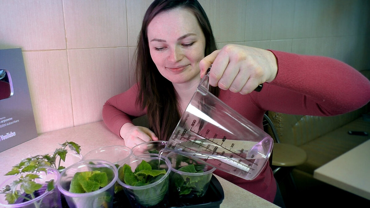 Дачный агроном бокаши. Дачный агроном. Дачный агроном фото ведущих. Дачный агроном. Дачный агроном юля и вячеслав.