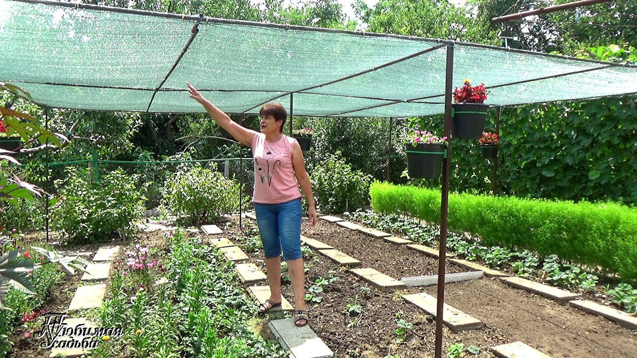 Как защитить растения от солнца. Сетка затеняющая 35 гр/м2. Сетка затеняющая 80% 3м (50м). Сетка затеняющая 55. Притенение теплицы сеткой.
