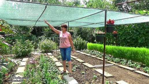 Затеняющая сетка для огорода Как сделать навес от жары своими руками