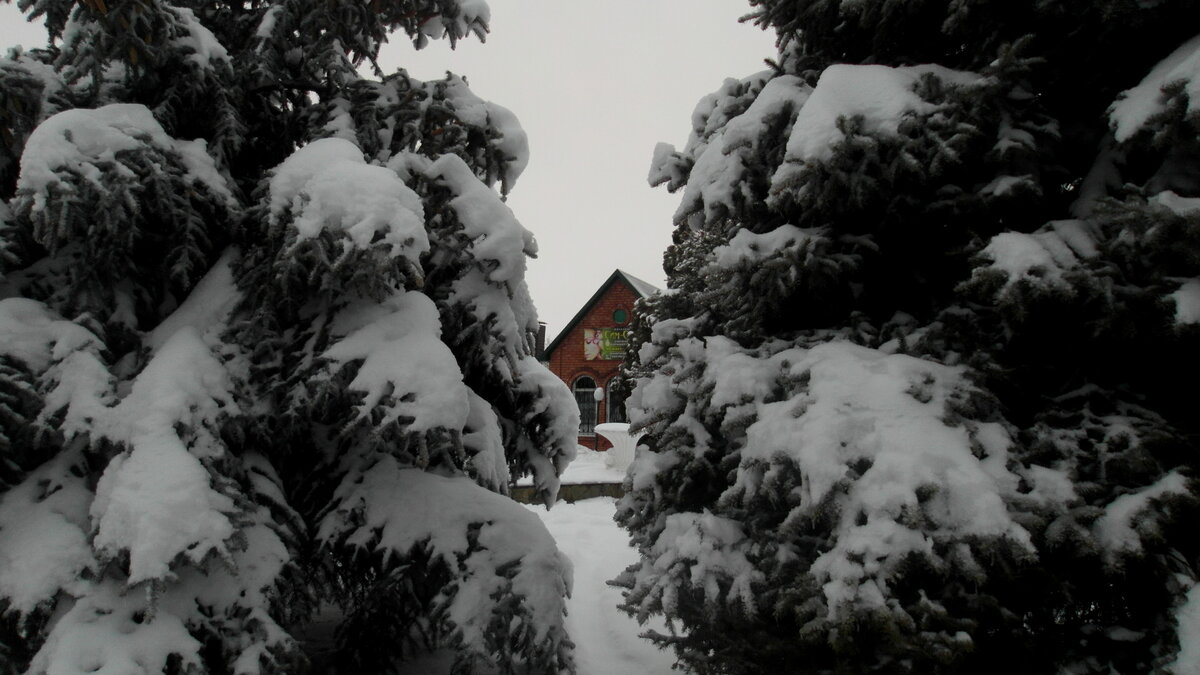 Зима в с.Песчанокопском