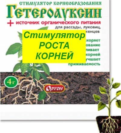 Гетероауксин — стимулятор роста корней