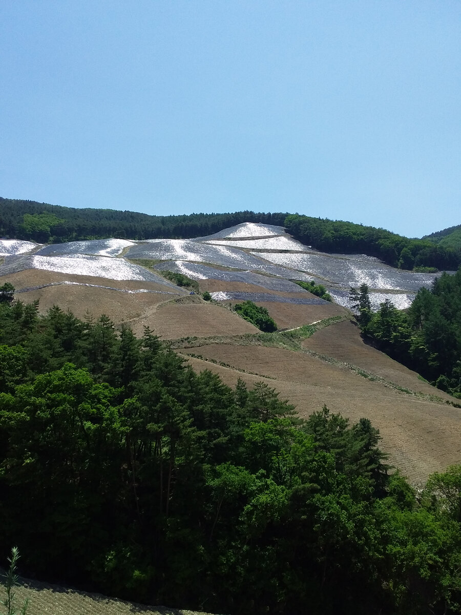 Вот так выглядела гора закатанная в пленку на половине пути