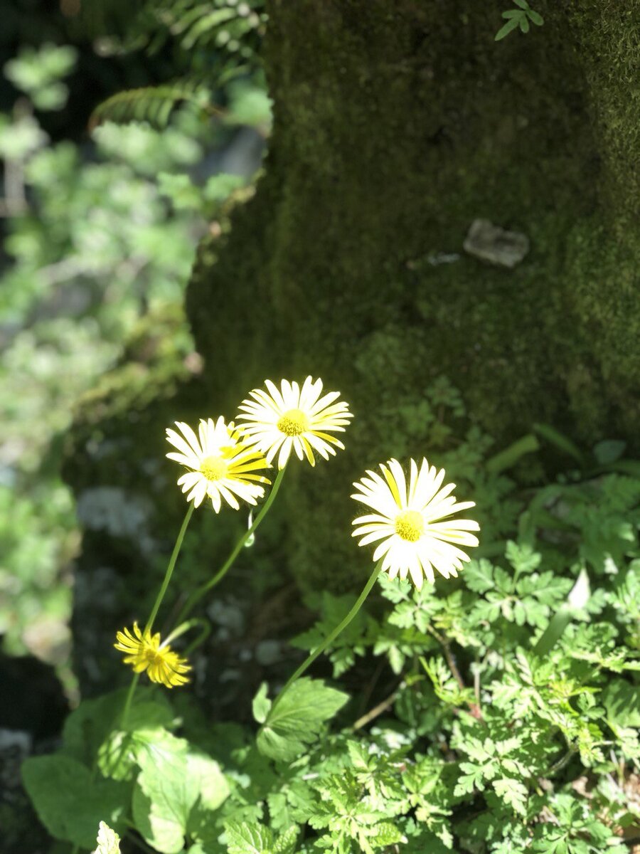 фото из архива автора