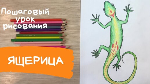 Милая кошка