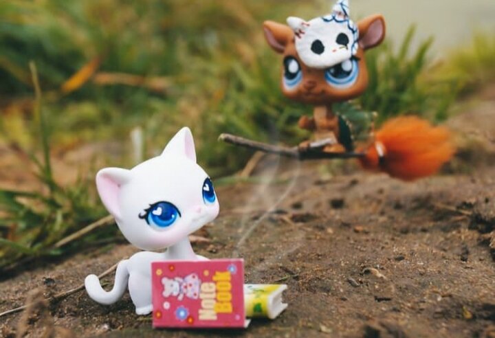 Осенняя фотография к сказке