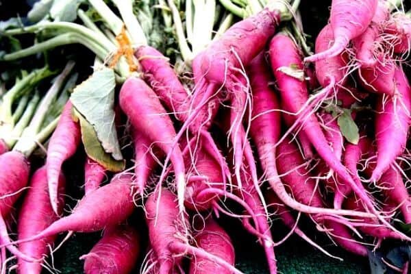 Морковная кучка