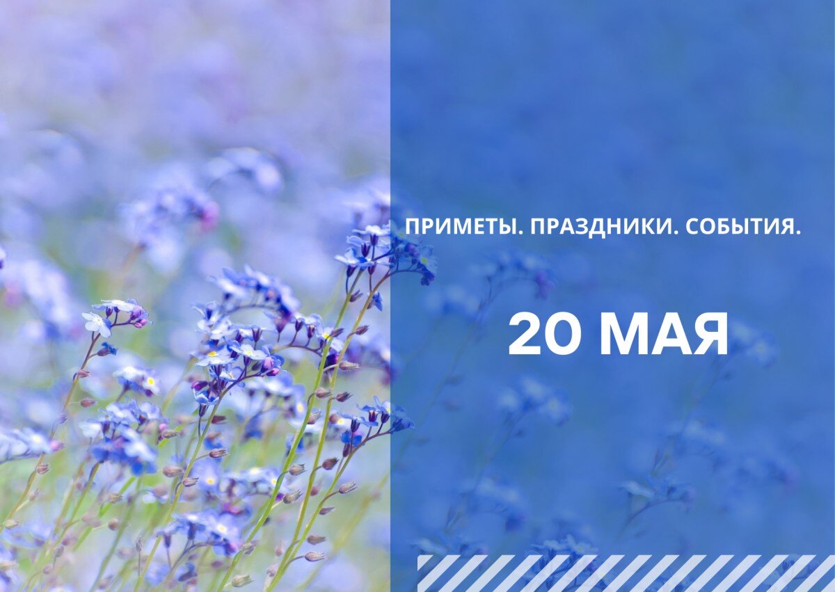 20 мая праздник картинки