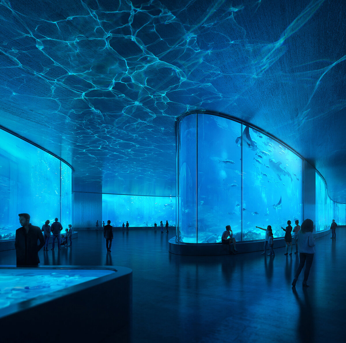 NYC Aquarium | Pictown