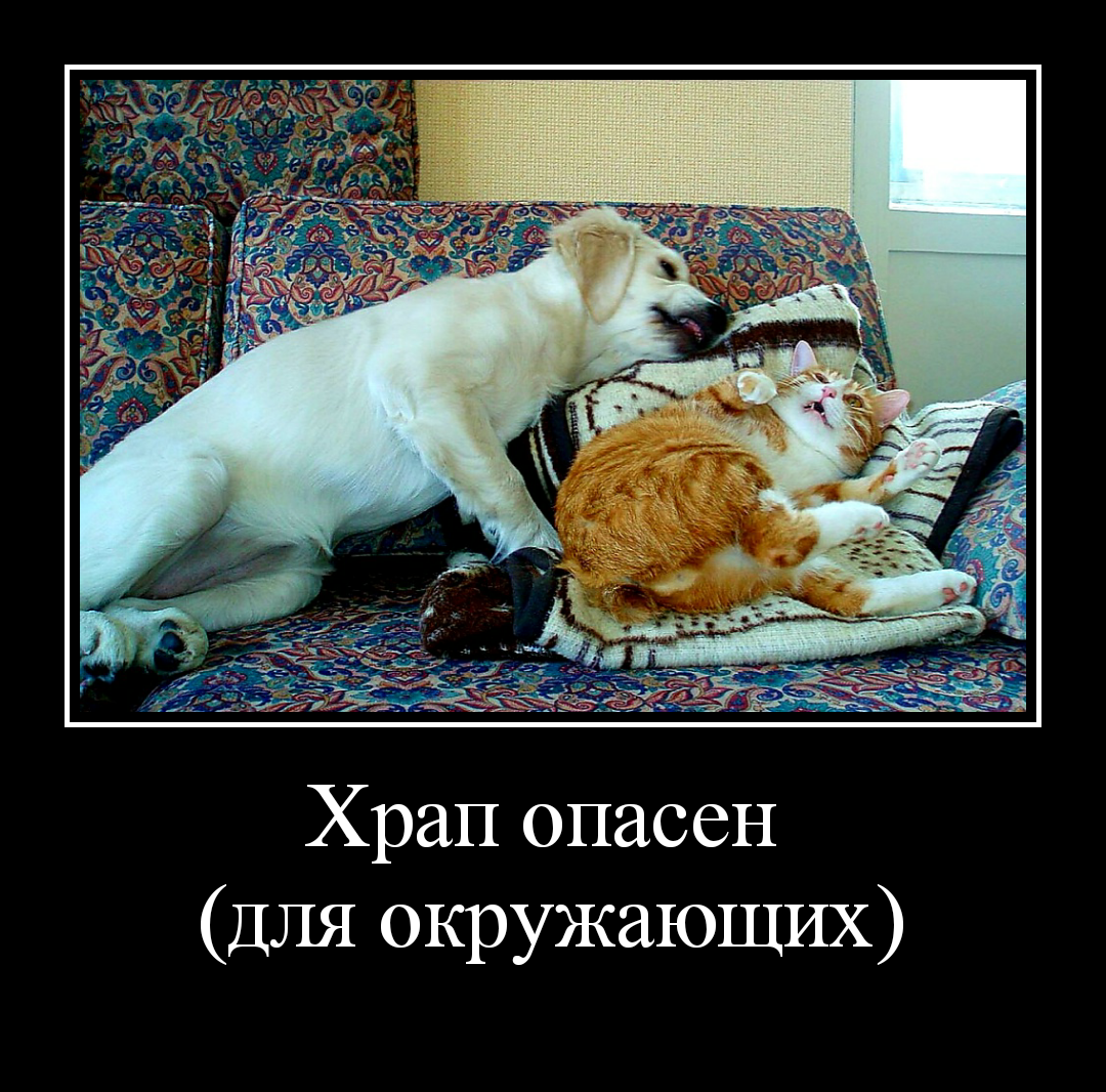 К какой категории относитесь Вы?)