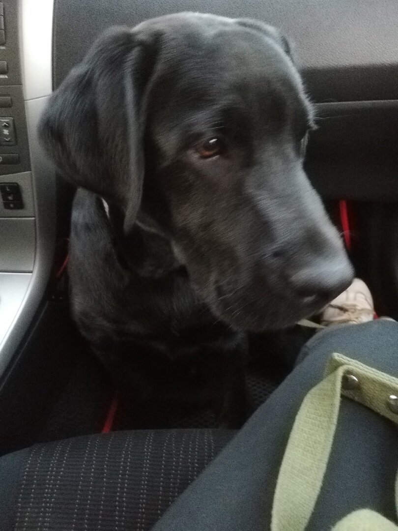 Так мы ездим на машине