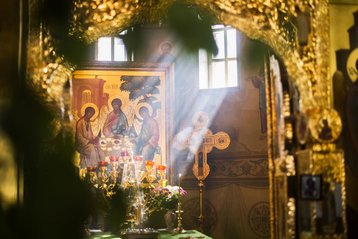 Фото взято из открытых источников