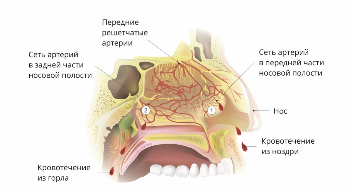 БОЛЬНИЧНЫЙ ПРОЦЕСС