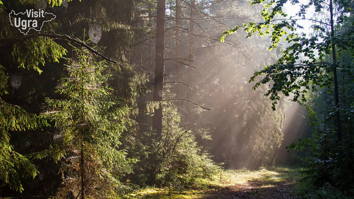 Урочище «Барсова гора»