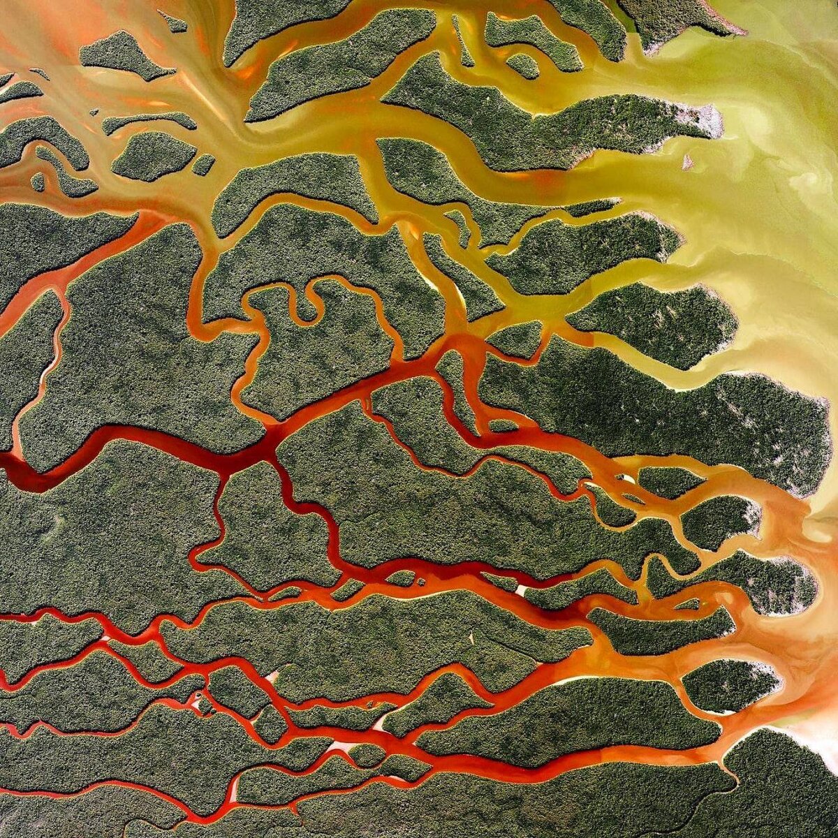 фото Daily Overview