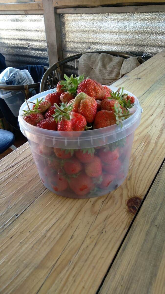 Фото автора. 