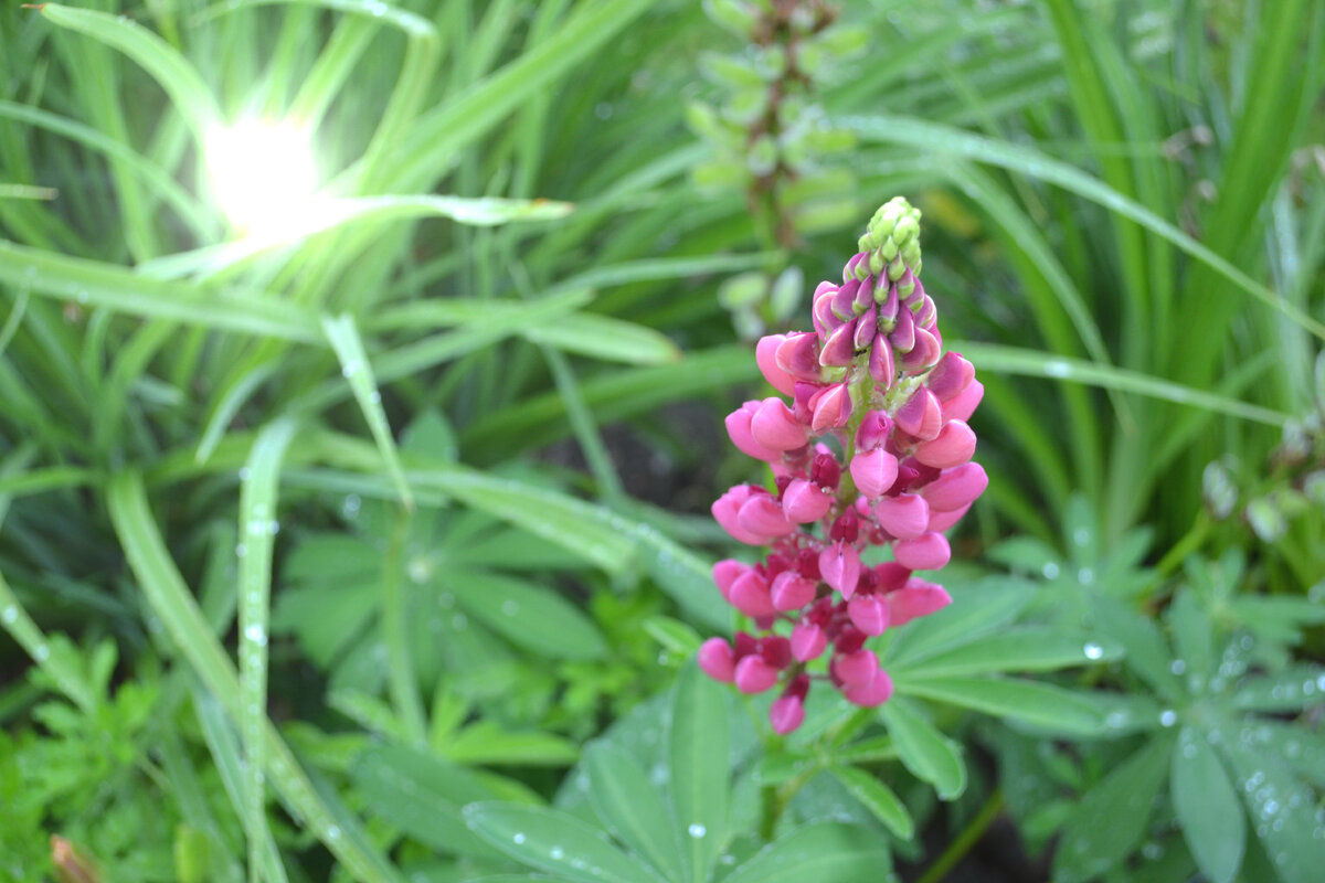 после дождя
