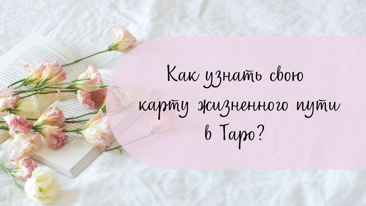 Как узнать свою карту 