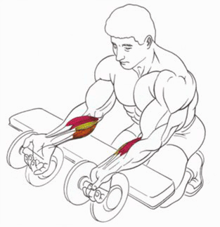 Разгибание рук в запястьях с гантелями