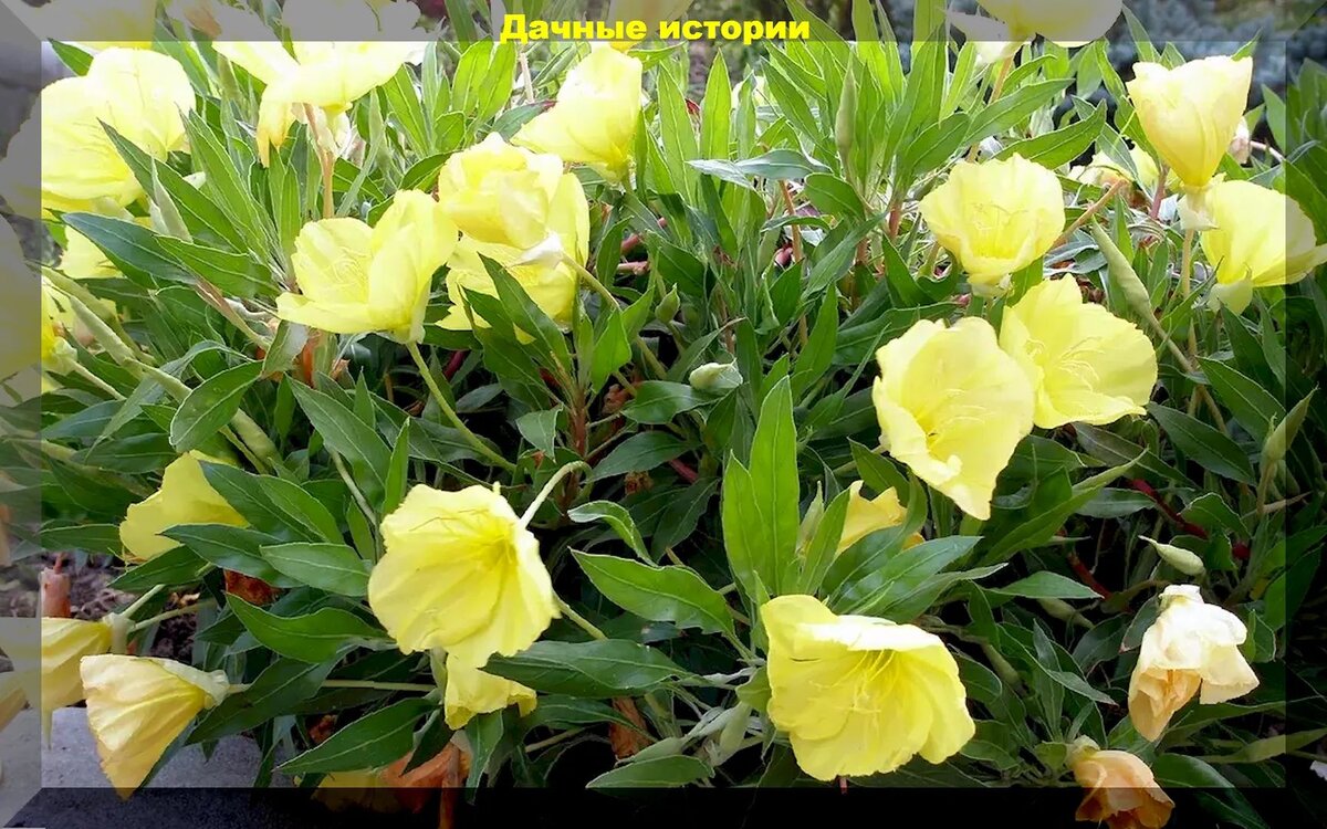 https://vk.com/photo-159774511_457254320