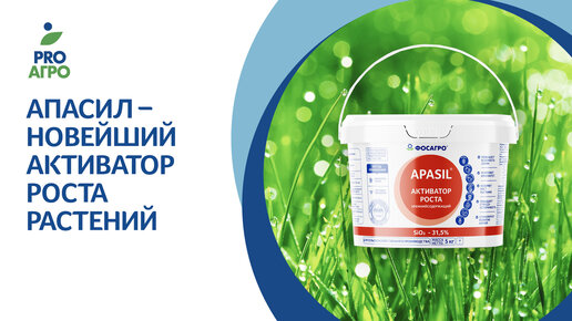 ApaSil – новейший стимулятор роста растений