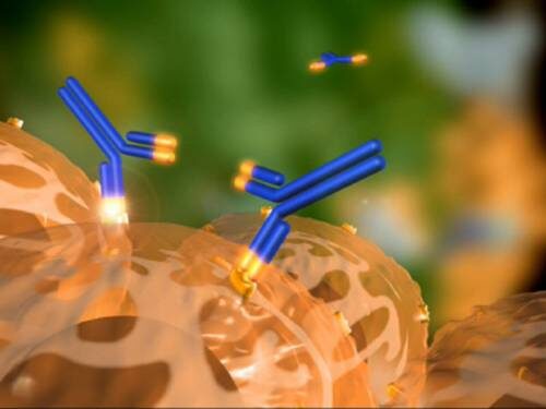 Аутоиммунный диабет