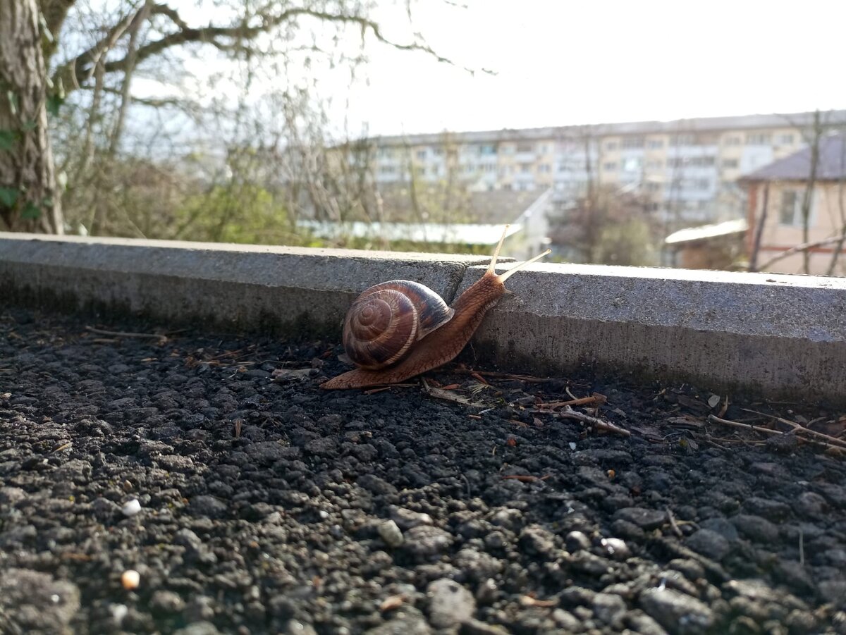 "Доброе утро, бешеный мир!" Фото Юлии Якимовой