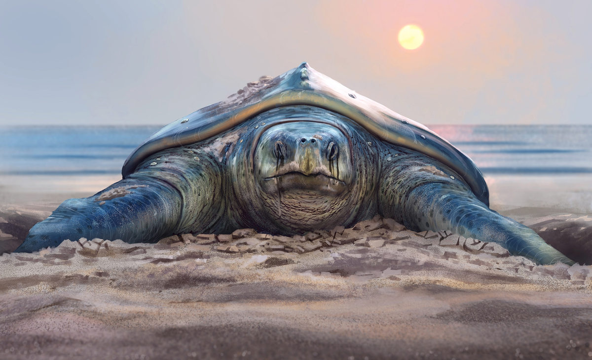 Это я в очередной раз плачу из-за того, что не смогла похудеть к лету. И к новому году вряд ли смогу. 