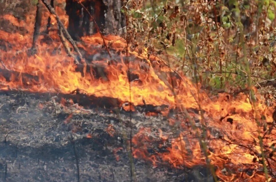     Фото: Сергей Кулыгин, "БР"