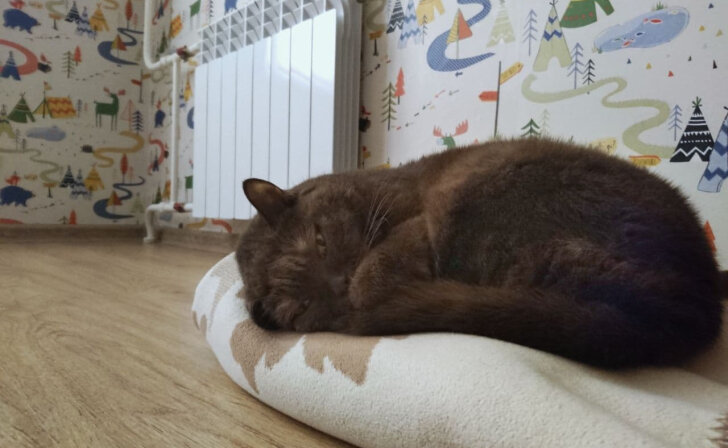    В Курске рассматривают возможность включения отопления в социальных учреждениях на этой неделе